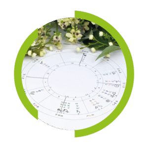 Esquema progresado negocios