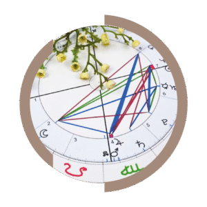Esquema progresado niño